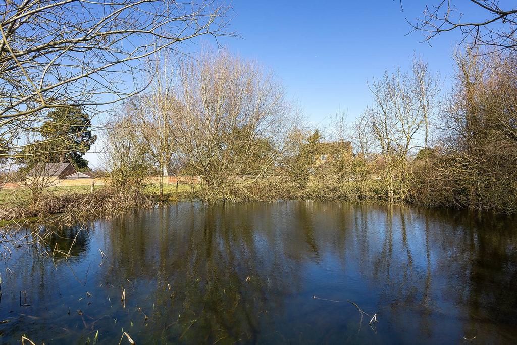 Pond