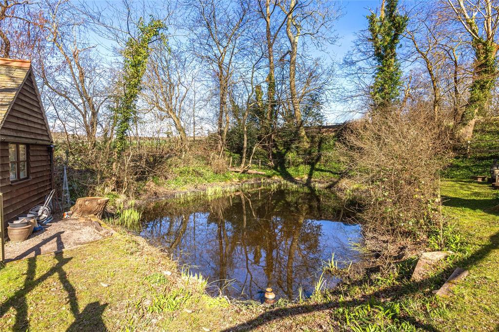 Pond