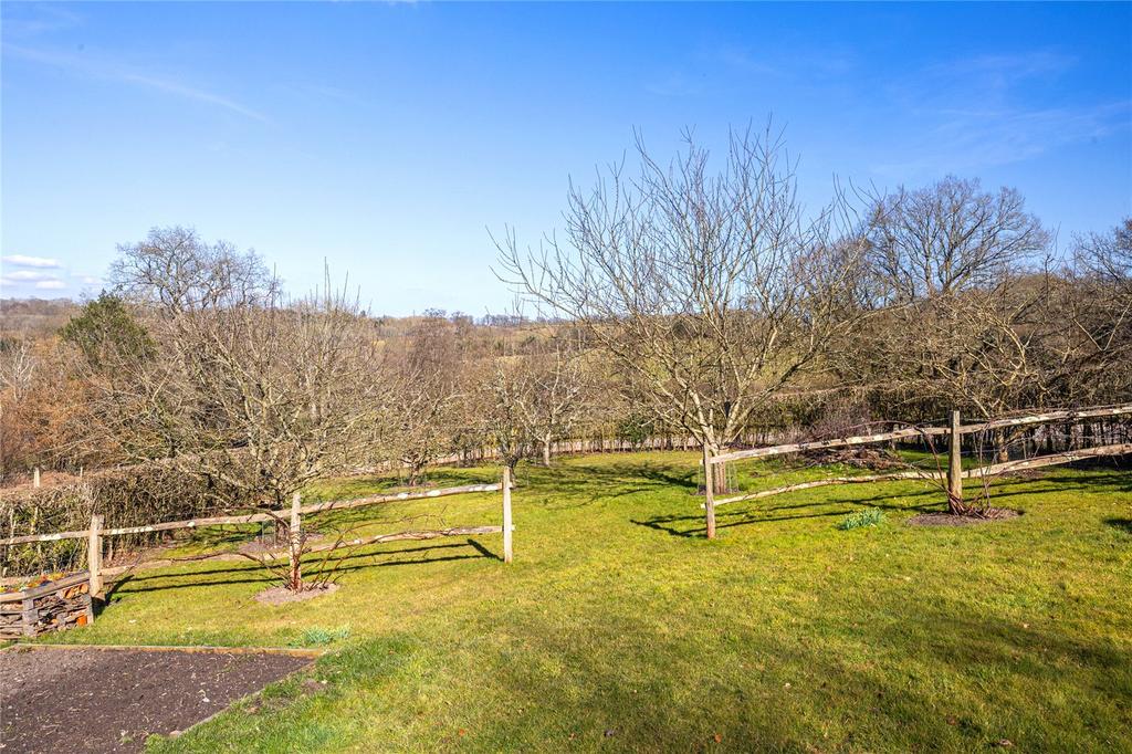 Orchard