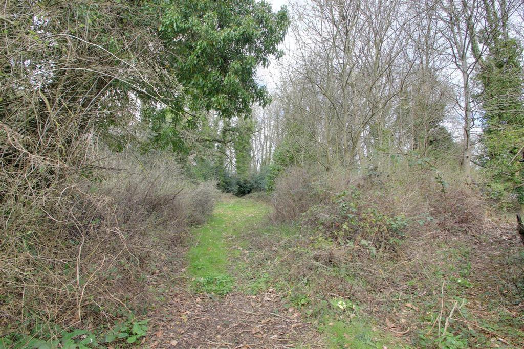 IMG 0274-IMG 0276.jpg