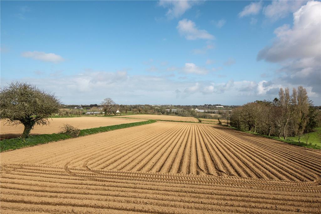Fields