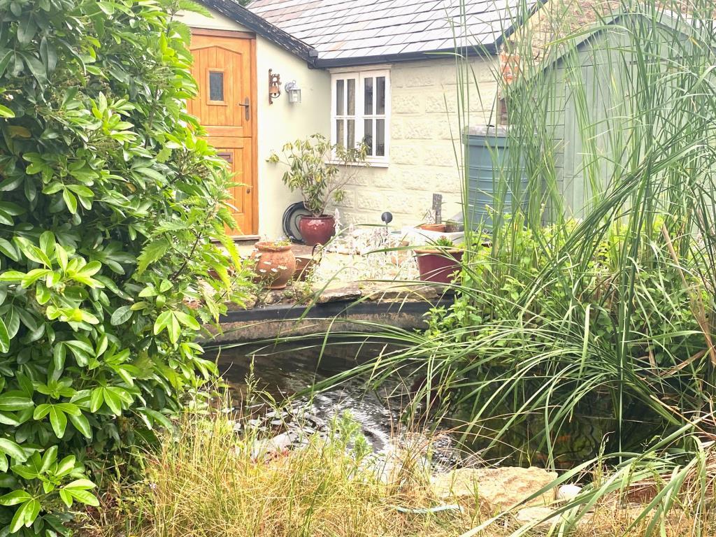 Garden pond