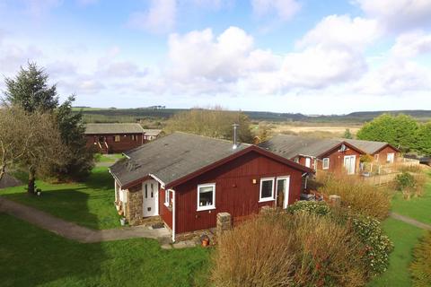 undefined, Hartland Forest, Woolsery, Bideford