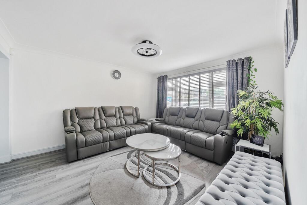 238337 RUM240441 IMG 02 0000.jpeg