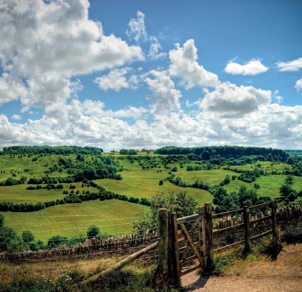 The Cotswolds