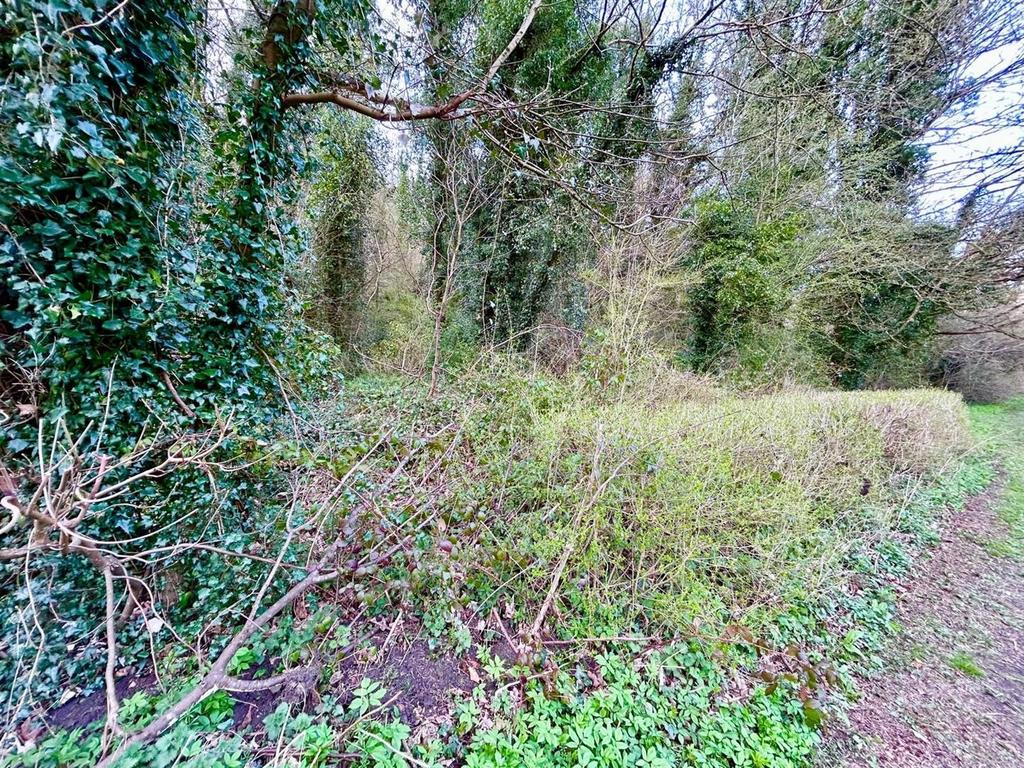 Quality of Land