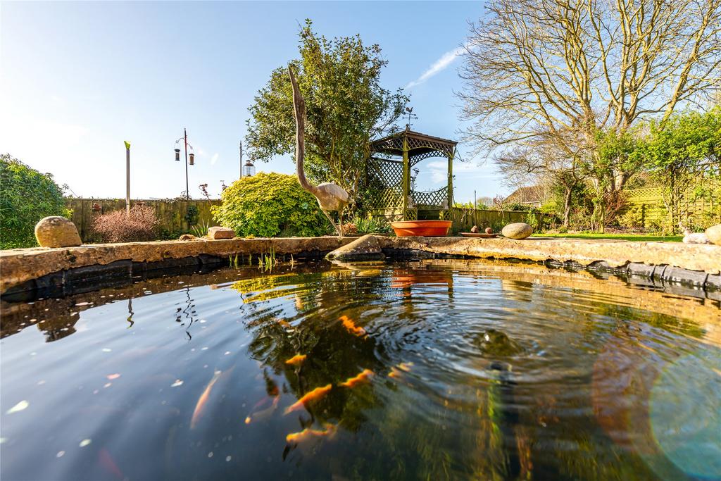 Pond