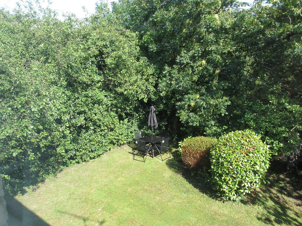 IMG 11858 7 large