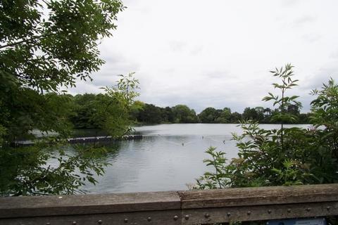 Flat C, 23 Oliver Grove, London, SE25 6EJ