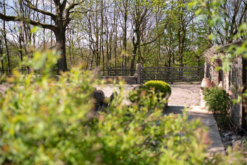 Front Driveway