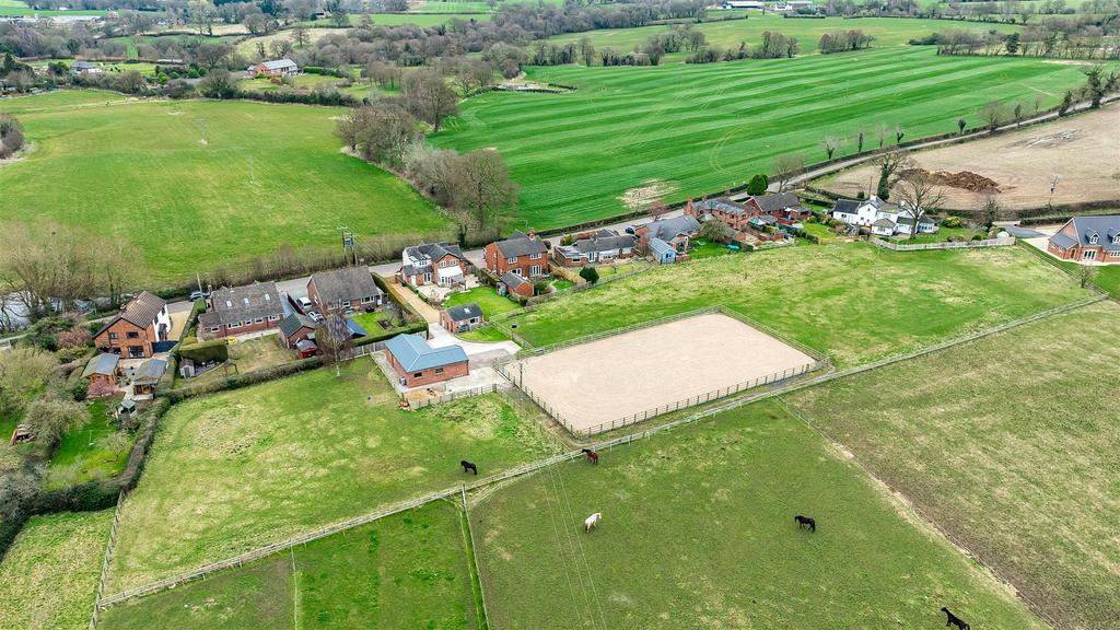 DJI 0203.jpg