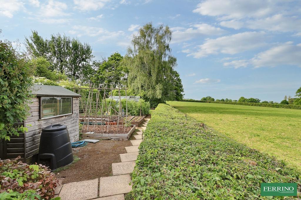 Vegetable Garden