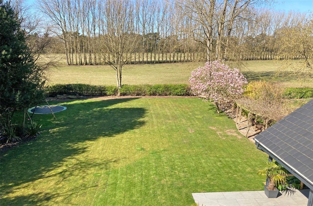 Garden and View