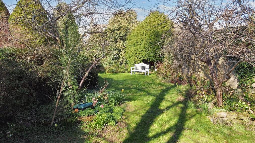 Rear Garden II