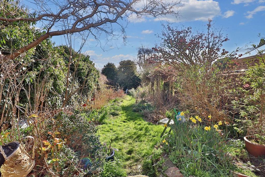 Rear Garden III