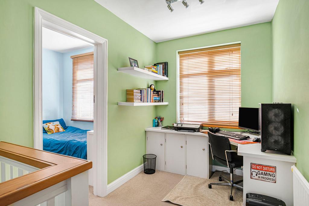 Study Area