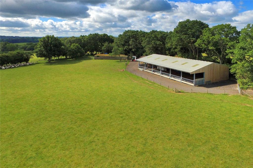 Barn and Bull Pens
