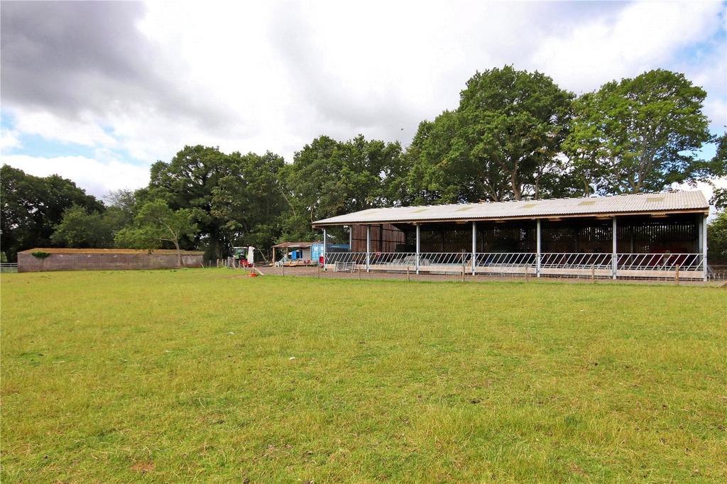 Barn and Bull Pens