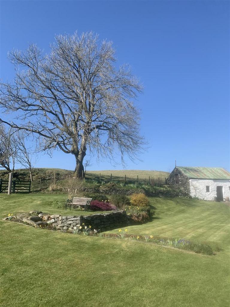 Img 0978.jpg
