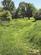 Additional image 20 of Fulling Mill Lane, Welwyn, Hertfordshire, AL6