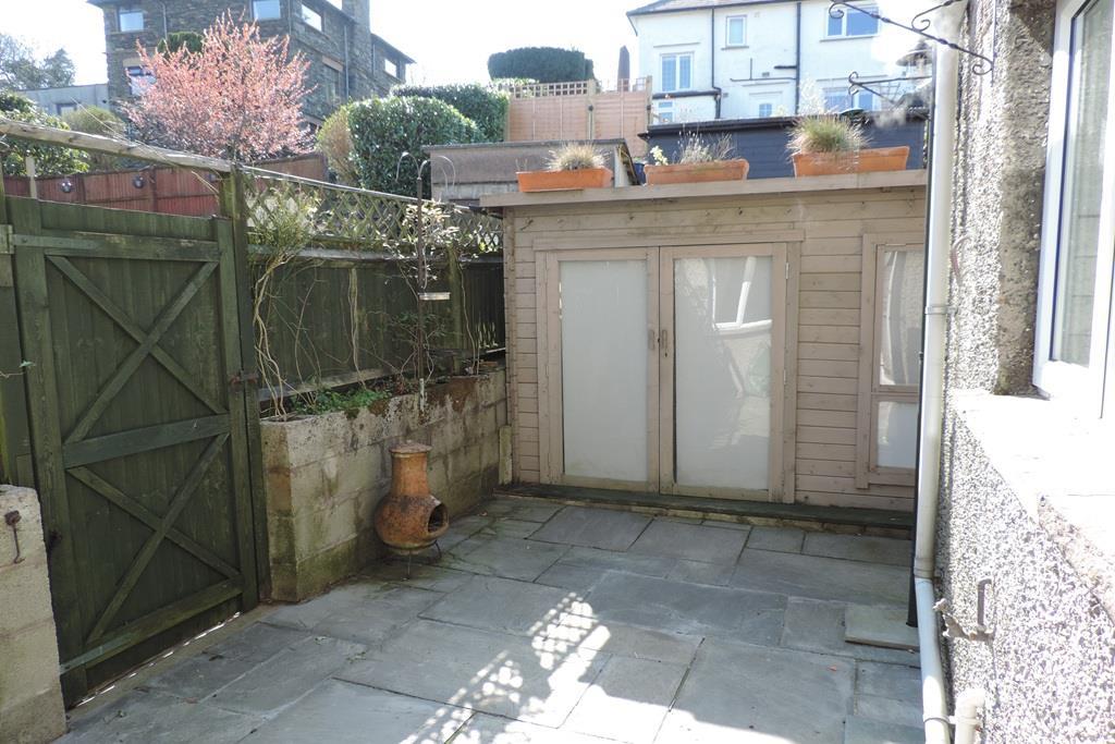 Back yard2.jpg