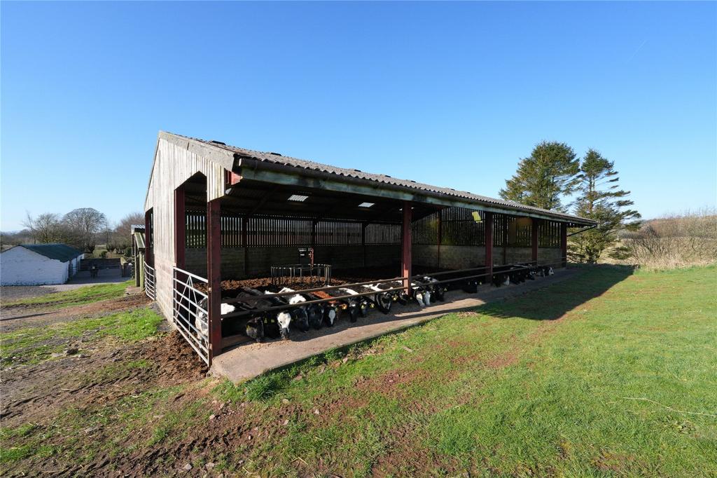 Steading