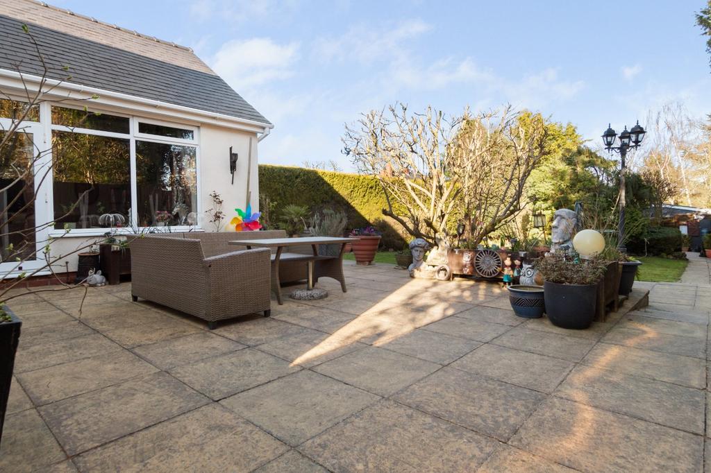 Patio Area