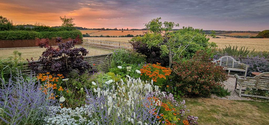 Seasonal Garden Photos