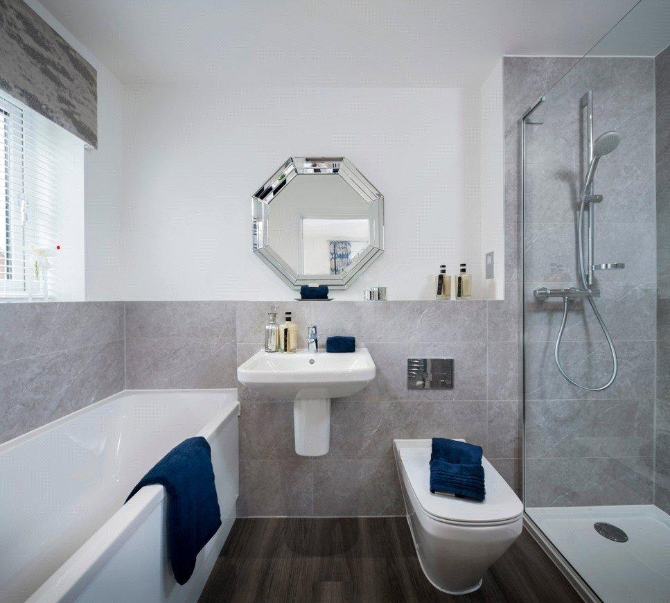 Show Home