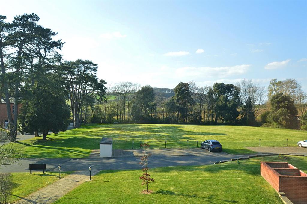 Resized View1.jpg