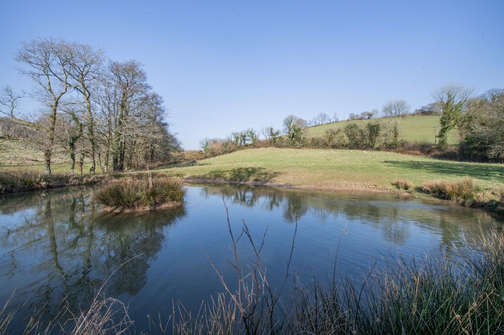 Fishing Pond