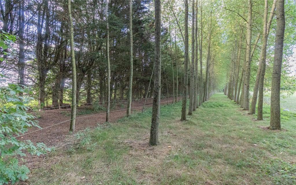 Grounds