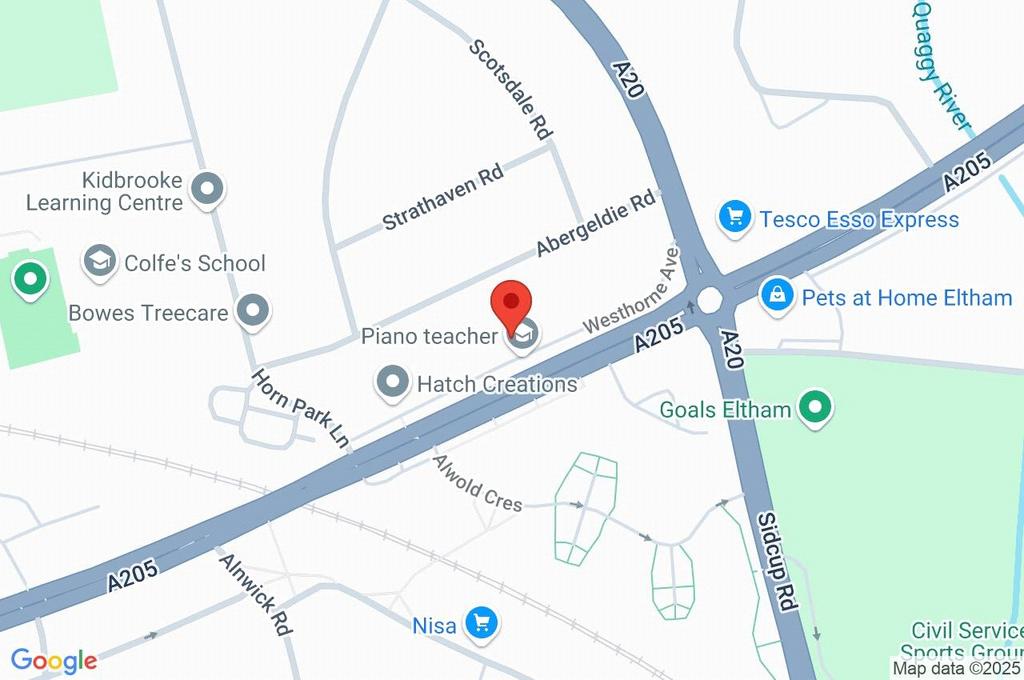 Google Maps Image