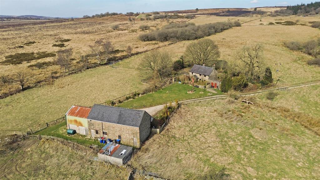 Dji 0025.jpg