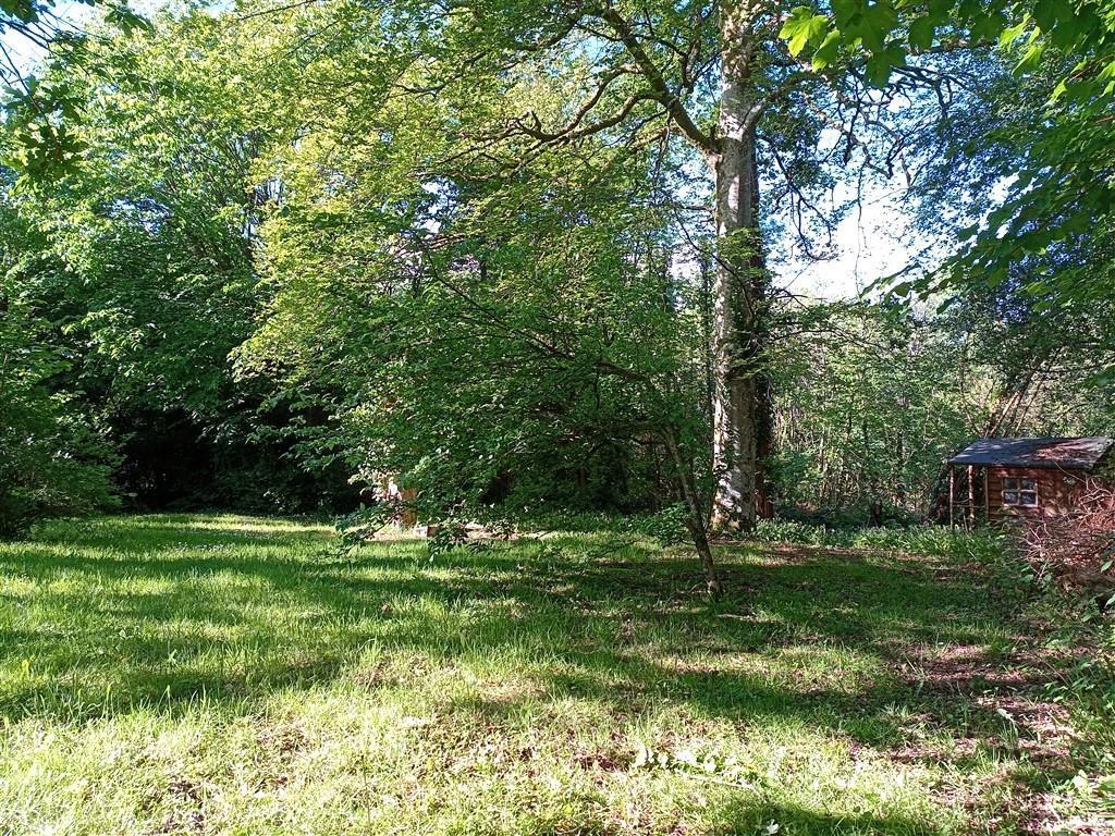 Another View