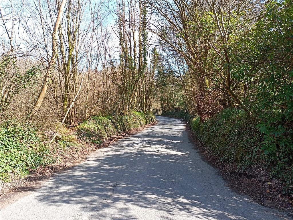 Quiet Road Past The Property