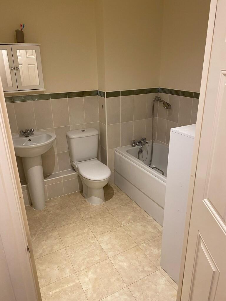 Image12 (1).jpeg