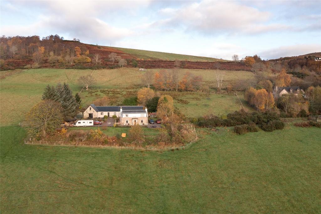 The Property