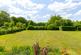 Additional image 32 of The Straits, Wheatley, Hampshire, GU35