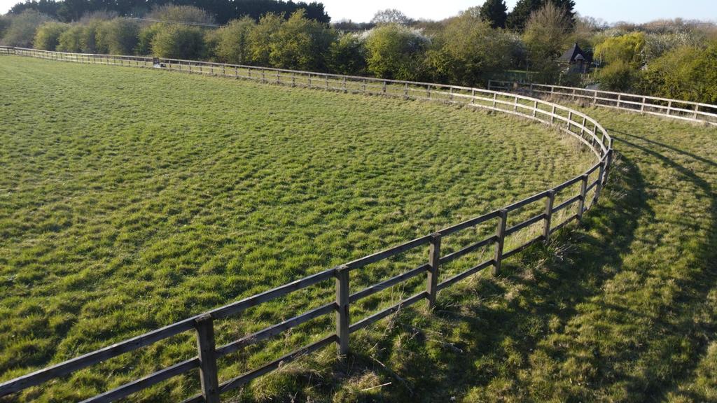 DJI 0808 T202504091805.jpg