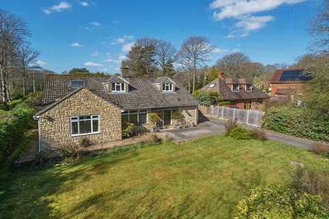 undefined, Durfold Wood, Plaistow, Billingshurst, West Sussex, RH14