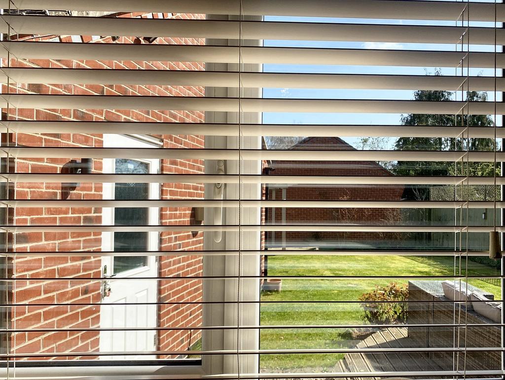 View from Kitchen Window