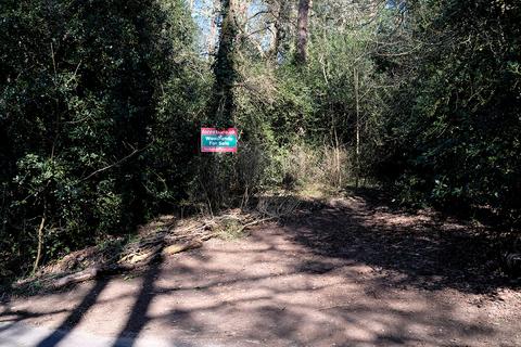 Woodland for sale, Old Frensham Road, Farnham GU10