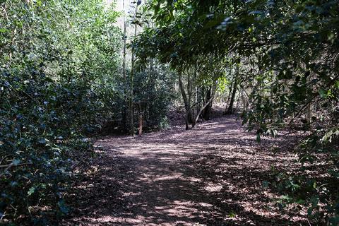 Woodland for sale, Old Frensham Road, Farnham GU10
