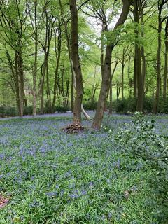Land for sale, Checkendon, Reading, Oxfordshire