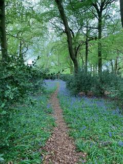 Land for sale, Checkendon, Reading, Oxfordshire