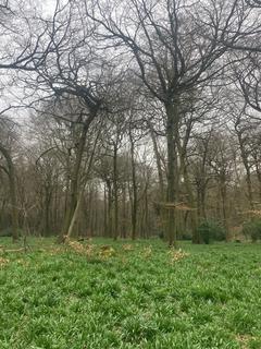 Land for sale, Checkendon, Reading, Oxfordshire