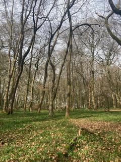 Land for sale, Checkendon, Reading, Oxfordshire