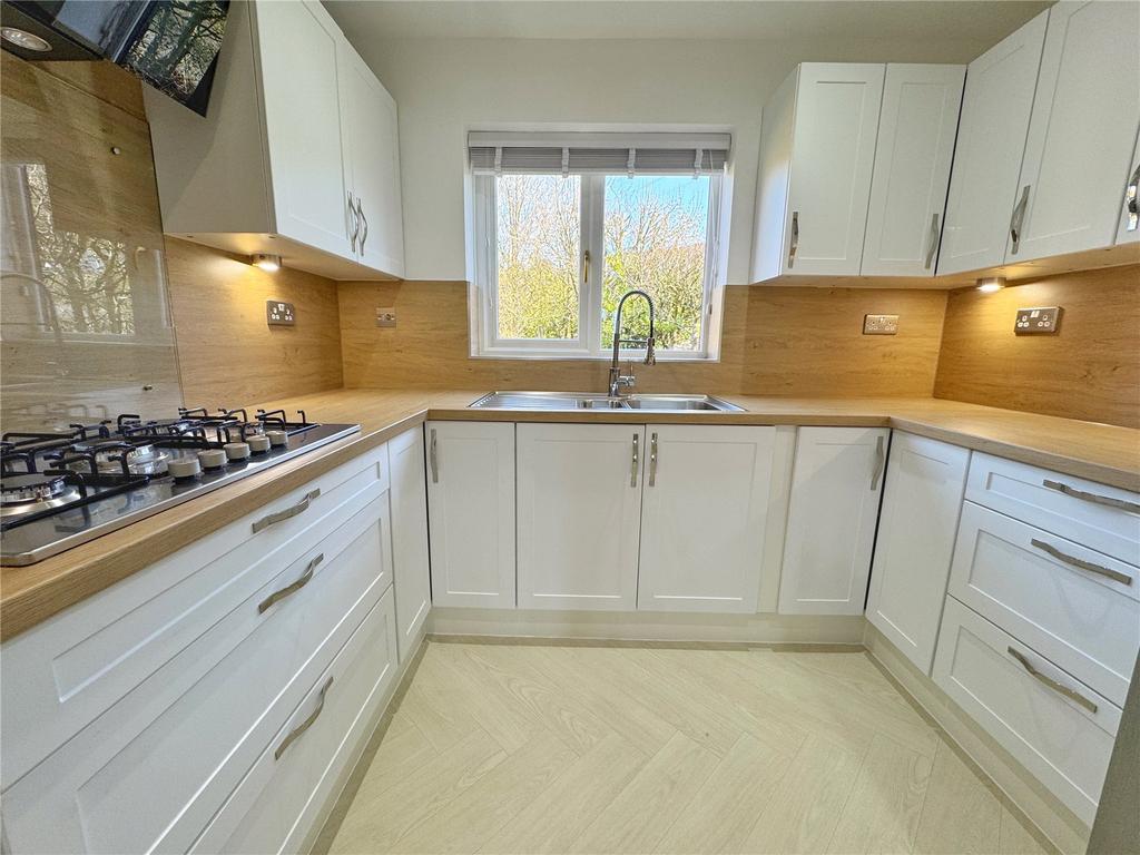Modern Kitchen