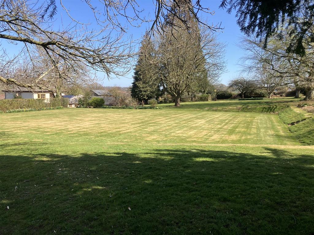 Garden .jpeg